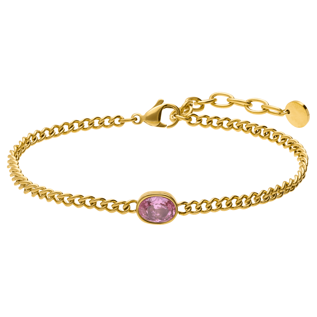 Stainless steel armband met geboortesteen zirkonia voor dames