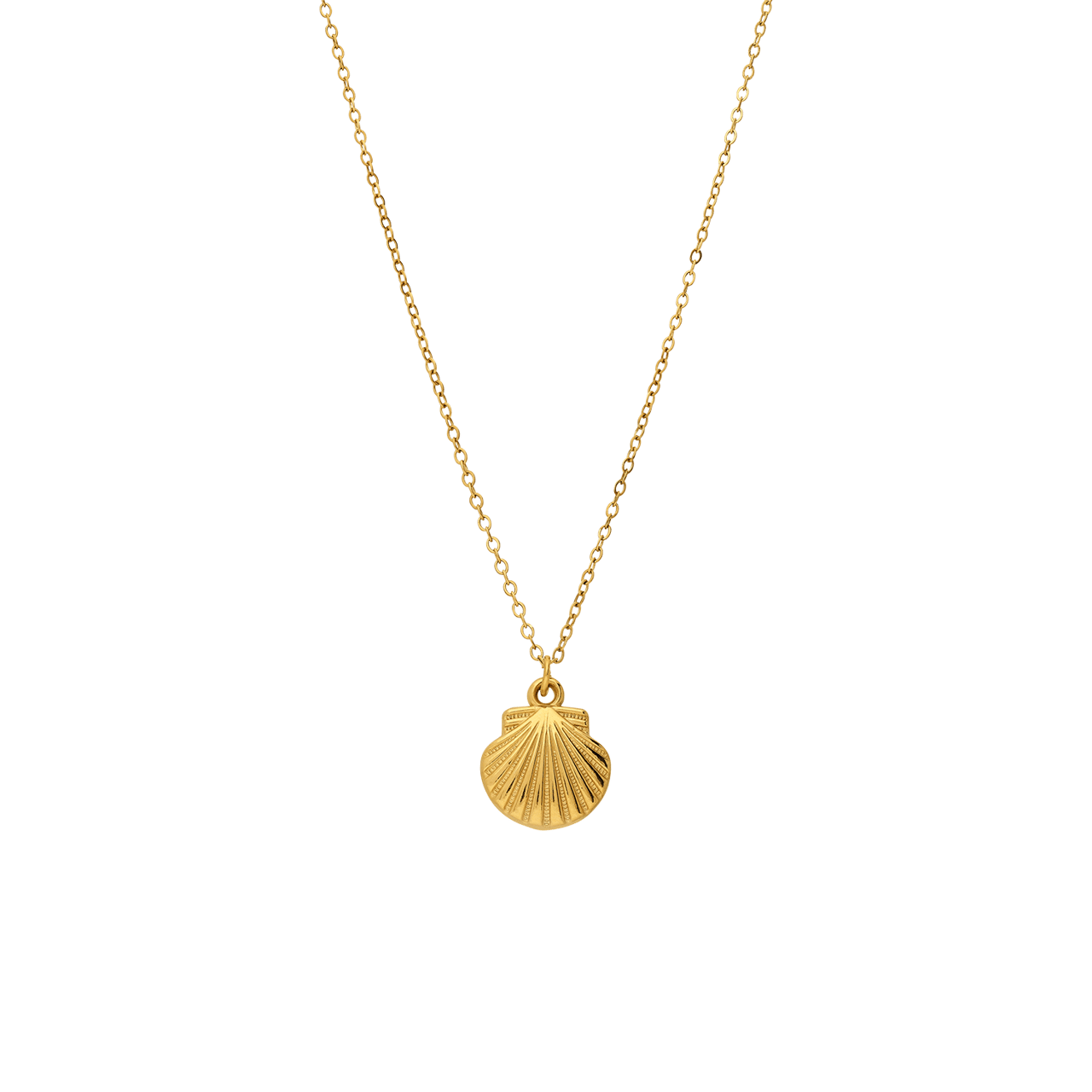 Stainless steel ketting met hanger schelp voor dames