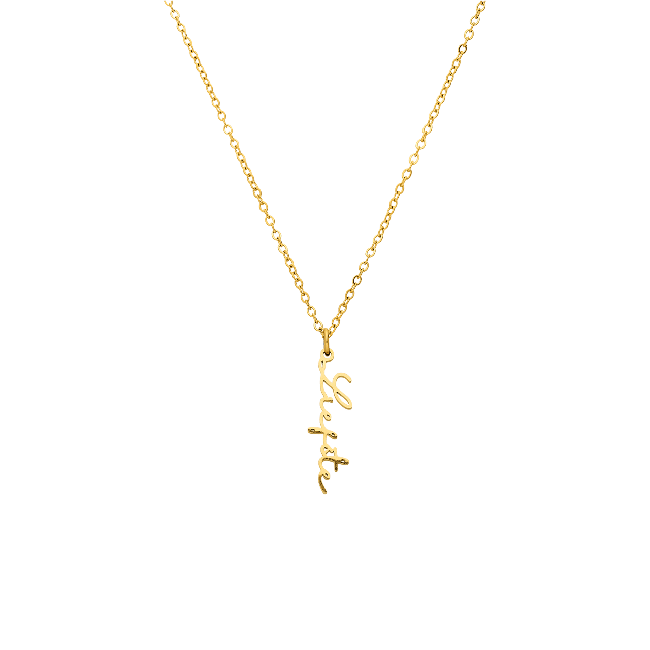 Stainless steel goldplated naamketting met hanger voor dames