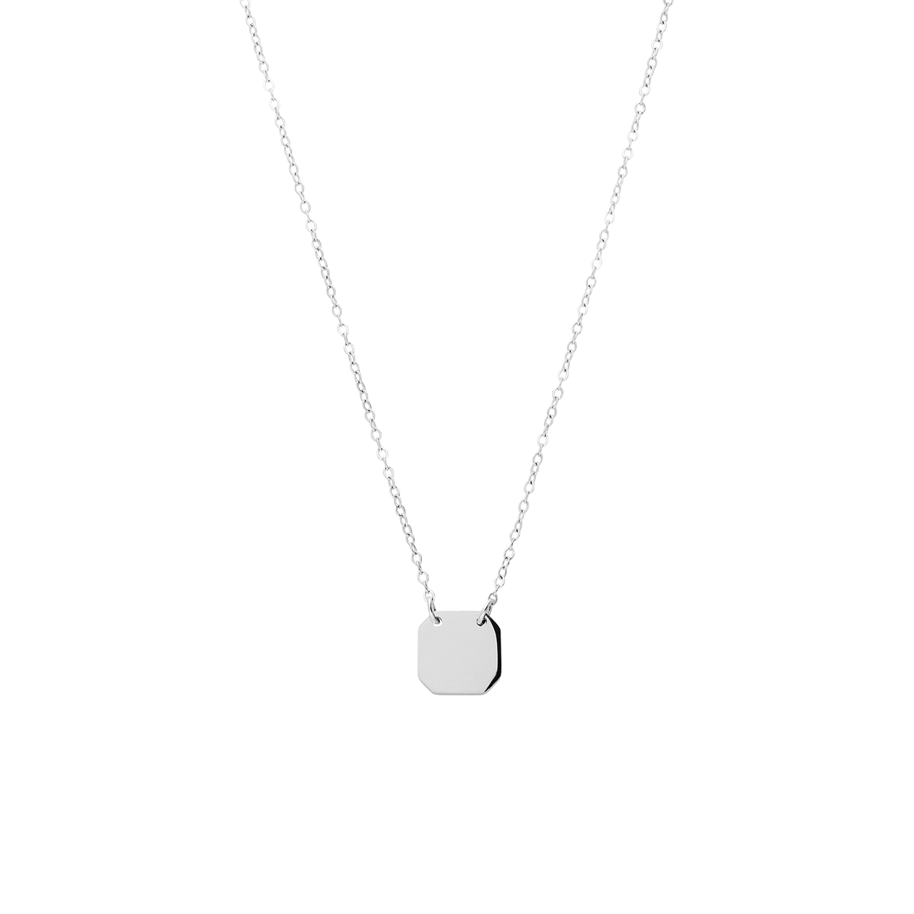Stainless steel ketting met hanger voor dames