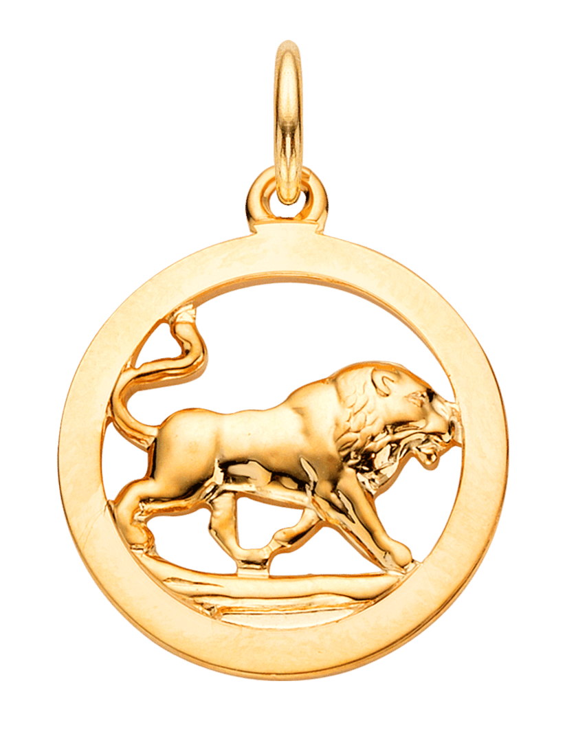 14karaat geelgouden hanger sterrenbeeld