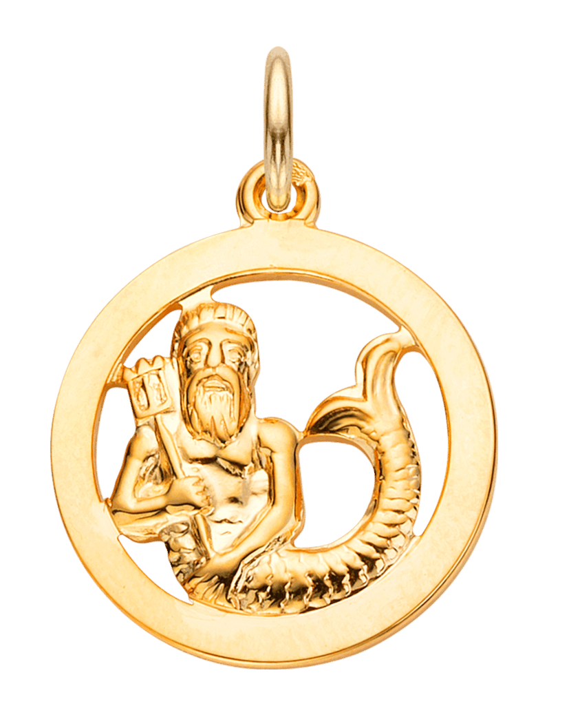 14karaat gouden hanger sterrenbeeld