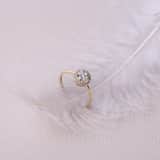 14 karaat geelgouden ring entourage 27 diamanten 0,13ct