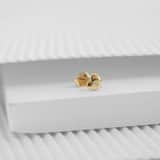 Zilveren goldplated oorknoppen hart met zirkonia voor dames