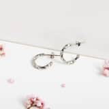 Stainless steel oorringen bewerkt