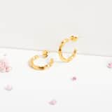 Stainless steel goldplated oorringen voor dames