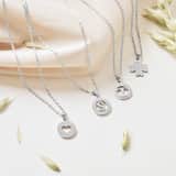 Stainless steel ketting met sterrenbeeld vissen