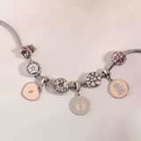 Stainless steel bedel rond met vlinders