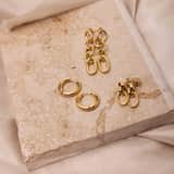 Stainless steel goldplated oorhangers voor dames