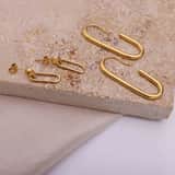 Stainless steel goldplated oorhangers voor dames