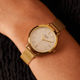 Regal mesh horloge met goudkleurige band
