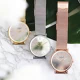 Regal Mesh-Armbanduhr limitierte Auflage, goldfarben