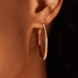 Stainless steel goldplated oorringen met kristal voor dames