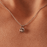 Zilveren set kristal white