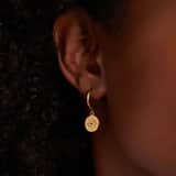 Stainless steel goldplated oorringen voor dames