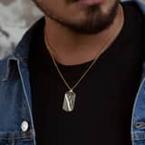 Stainless steel goldplated herenketting met hanger met zirkonia