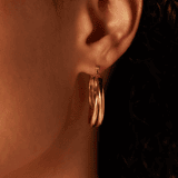 Stainless steel goldplated oorringen voor dames