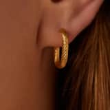 Stainless steel goldplated oorringen voor dames