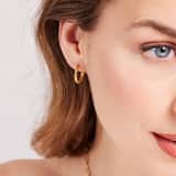 Stainless steel goldplated oorringen voor dames