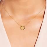 Stainless steel goldplated ketting met hanger munt voor dames