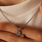 Stainless steel ketting met hanger truck