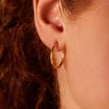 Stainless steel goldplated oorringen voor dames