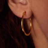 Stainless steel goldplated oorringen voor dames