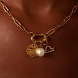 Stainless steel goldplated hanger munt voor dames