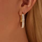 Stainless steel goldplated oorringen met kristal