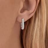 Stainless steel oorringen met kristal voor dames