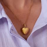 Stainless steel goldplated ketting met ashanger hart voor dames