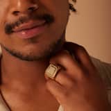 Stainless steel goldplated herenzegelring met zirkonia