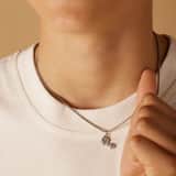 Stainless steel ketting met hanger truck