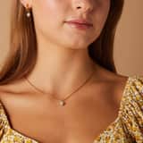 Stainless steel goldplated ketting met hanger met amazoniet voor dames