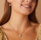 Stainless steel goldplated oorringen pompoen voor dames