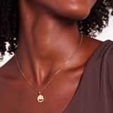 Stainless steel goldplated oorringen met zirkonia voor dames
