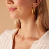 Stainless steel goldplated oorringen voor dames