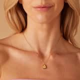 Stainless steel goldplated ketting met hanger druppel met zirkonia voor dames