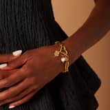 Stainless steel goldplated hanger hart met zirkonia voor dames