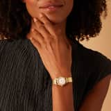 IVY N ROX stainless steel horloge goudkleurig met zirkonia