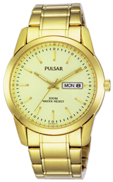 Pulsar-Uhr PJ6024X1