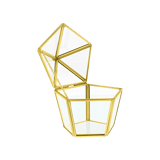 Goudkleurige sieradendoos glas hexagon vorm