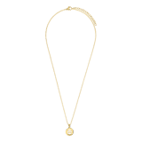 Vergoldetes Edelstahlcollier mit Sternbild Aquarius