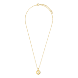 Vergoldetes Edelstahlcollier mit Sternbild Steinbock
