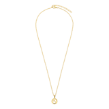 Stainless steel goldplated ketting met hanger sterrenbeeld Schorpioen voor dames