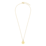 Stainless steel goldplated ketting met hanger munt voor dames