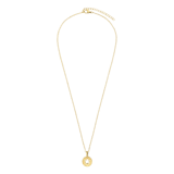 Stainless steel goldplated ketting met hanger ster voor dames