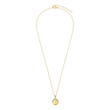 Stainless steel goldplated ketting met hanger voor dames