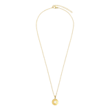 Stainless steel goldplated ketting met hanger munt voor dames
