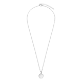 Stainless steel ketting met hanger munt